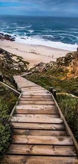 Scenic beach pathway leading to the ocean with a dramatic sky.