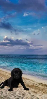 Black puppy sitting on a sandy beach with a bright blue ocean and cloudy sky.