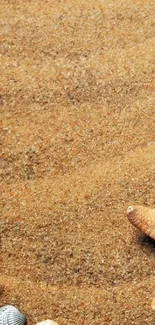 Sand and seashells on a beach-themed mobile wallpaper.