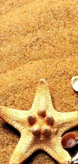 Starfish and seashells on golden beach sand wallpaper.