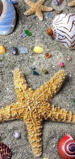 Beach-themed wallpaper with starfish and seashells on sand.