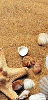 Starfish and seashells on sandy beach wallpaper.