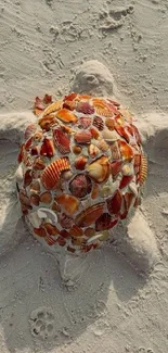 Turtle made of seashells on sandy beach