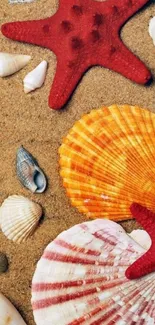 Colorful starfish and seashells on sandy beach wallpaper.