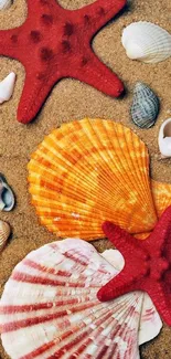 Colorful seashells and starfish on sandy beach background.