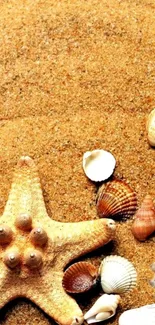 Mobile wallpaper of a starfish and seashells on sandy beach background.