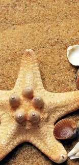 Starfish and seashells on sandy beach wallpaper.