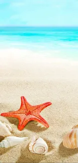 Beach starfish and seashells on sandy shore with ocean view.