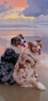 Two dogs sitting on a beach at sunset.