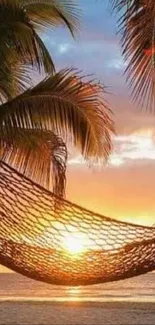 Hammock between palm trees at sunset on a beach, with an ocean view.