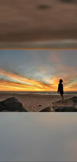 Silhouette on a beach at sunset with bird.