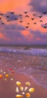 Beach sunset with birds and shells.