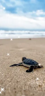 A baby sea turtle on a sandy beach with ocean waves in the background.