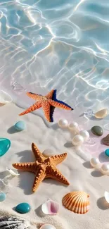 Beach scene with starfish and seashells.