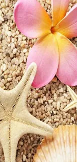 Beach-themed wallpaper with shells and a pink flower on sand.