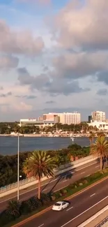 Beachfront cityscape with a light blue sky and palm trees lining the road.