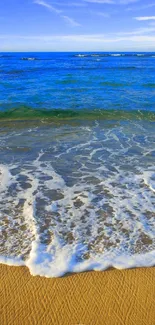 Calm beach with ocean waves and shells on sandy shore.