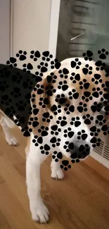 Beagle dog with playful black paw prints overlay.