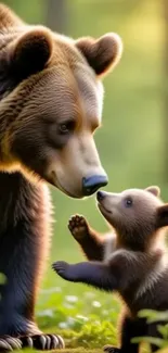 A bear and its cub lovingly interact in a lush green forest.