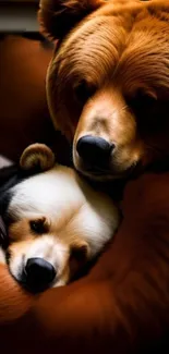 Bear and panda hugging in a cozy embrace.