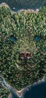 Aerial view of bear-shaped forest by the sea, unique nature art.