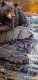 Black bear on rocks in autumn waterfall scene.