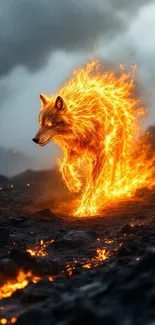 Bear In Flames Live Wallpaper