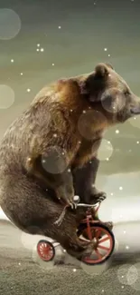 Bear riding a small bicycle on whimsical mobile wallpaper.