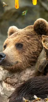 Bear resting against a tree with honey and bees