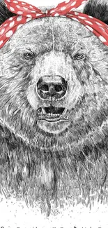 Bear illustration with red bandana, detailed sketch style.