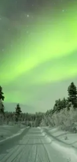 Aurora borealis lights over snowy forest.