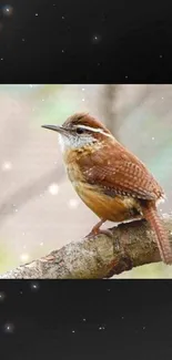 Brown bird perched on natural branch in serene setting.