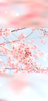 Cherry blossoms and branches with a soft pink and blue background.