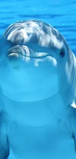 A beautiful dolphin swimming gracefully underwater with sunlight reflections.