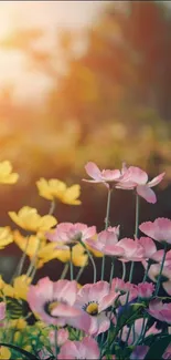 Pink and yellow flowers in sunlight, creating serene nature wallpaper.