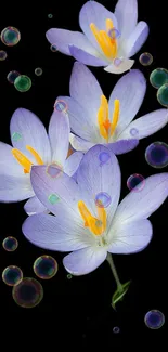 Purple flowers with bubbles on black background wallpaper.