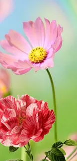 Pink and red flowers with green background wallpaper.