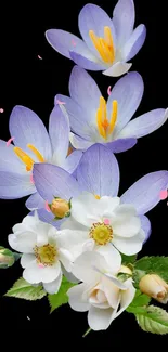 Elegant purple and white flowers on a black background wallpaper.