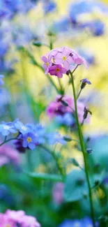 Vibrant phone wallpaper with pink and blue wildflowers in a serene garden.