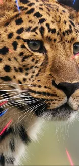 Close-up of a leopard with colorful accents on fur, highlighting its spots.