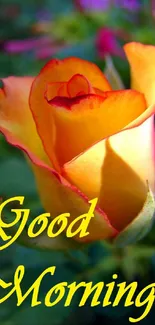 Yellow rose with 'Good Morning' text on a vibrant background.