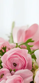 Soft pink roses mobile wallpaper for a serene look.