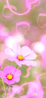 Pink flowers in focus with a blurred background.