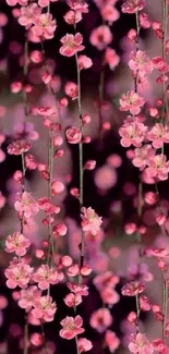 Patterned pink flowers wallpaper with dark background.