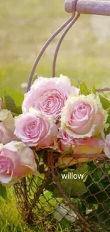 Elegant pink roses in a rustic basket on a green grass background.