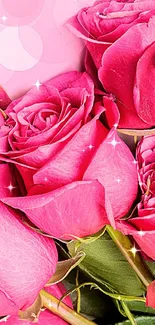 Bright pink rose bouquet on soft background wallpaper.