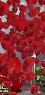 Vibrant red roses arranged artistically.