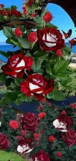 Red roses with heart arch in scenic garden.