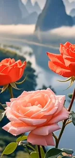 Vibrant roses set against a stunning mountain backdrop with mist.