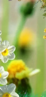 Daffodils with green and yellow background, spring theme.